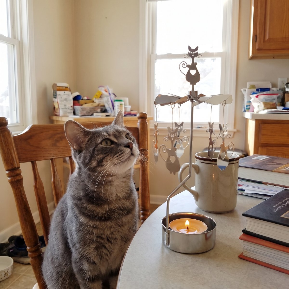 A gray tabby cat watching the cat candle carousel turn