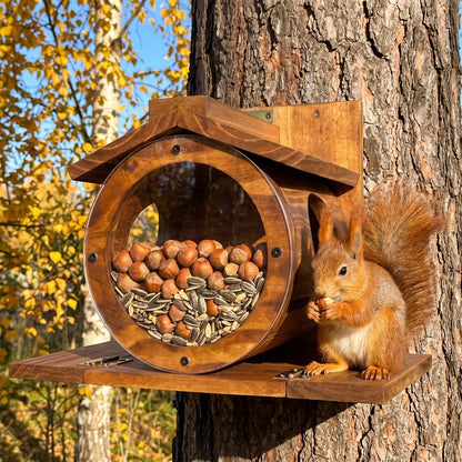 Fergus's red squirrel barrel feeder on a Scots pine with a red squirrel