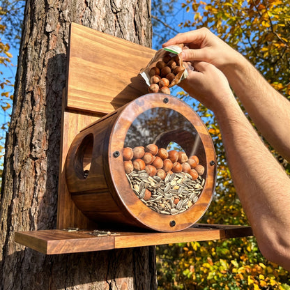 Refilling the barrel feeder with hazelnuts