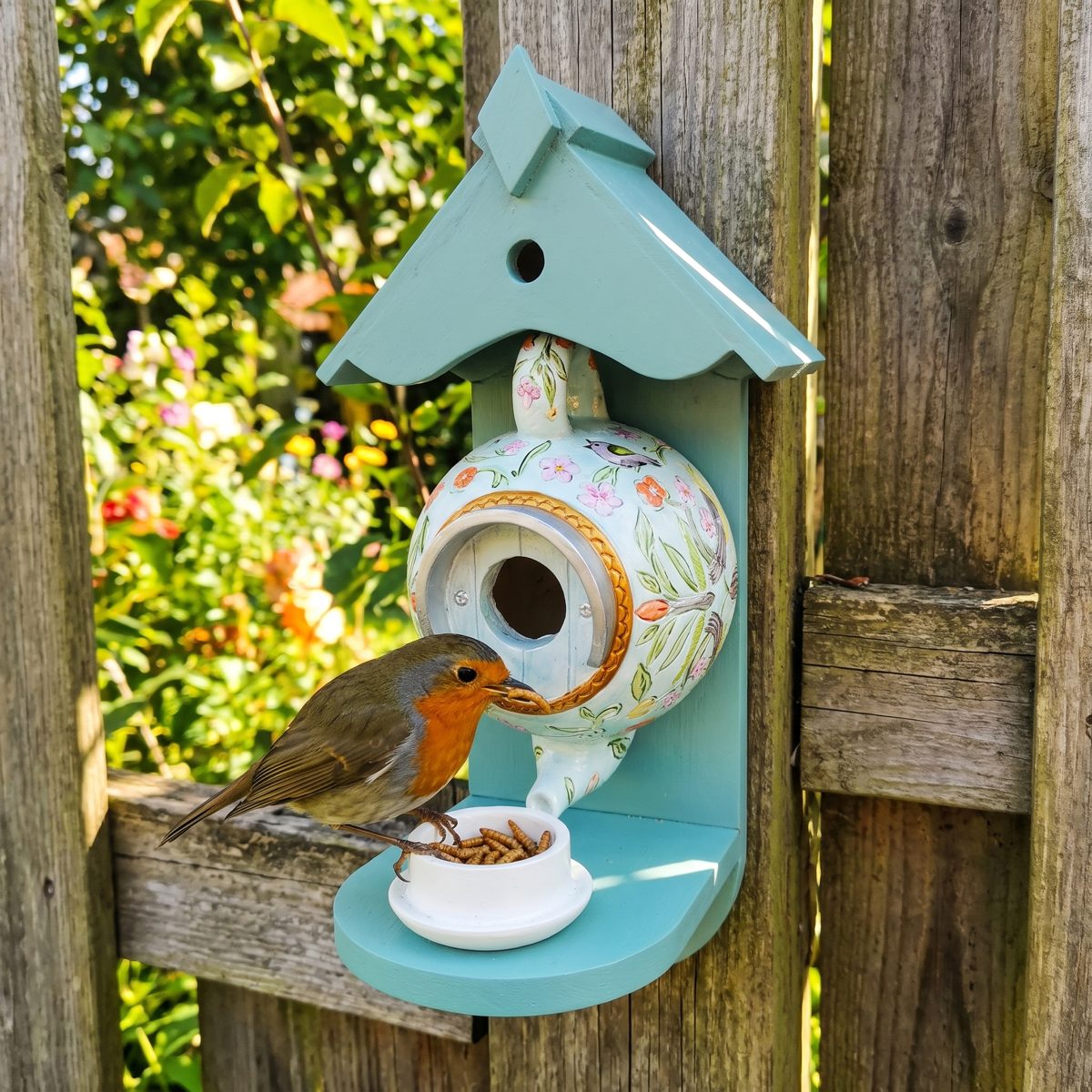 Robin eating from the teacup