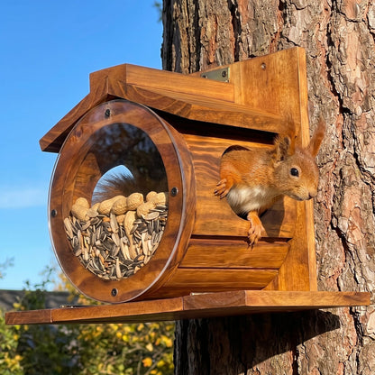 Red squirrel peeking out of the side door of the barrel feeder