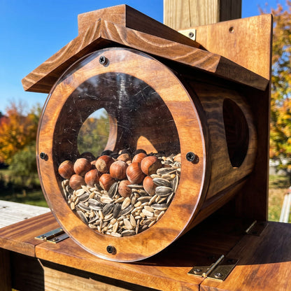 Close-up of the clear front window with hazelnuts and seeds
