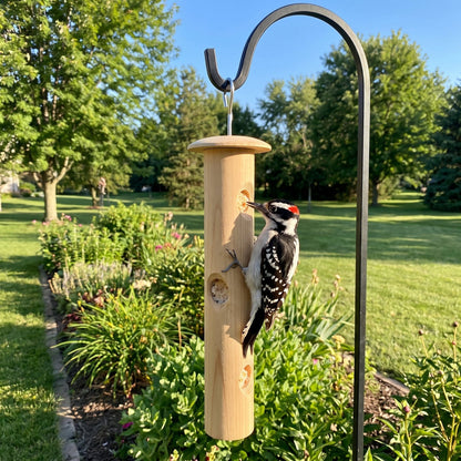 Hairy woodpecker on the cedar log on a shepherd's hook