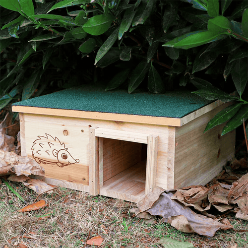 Hedgehog House