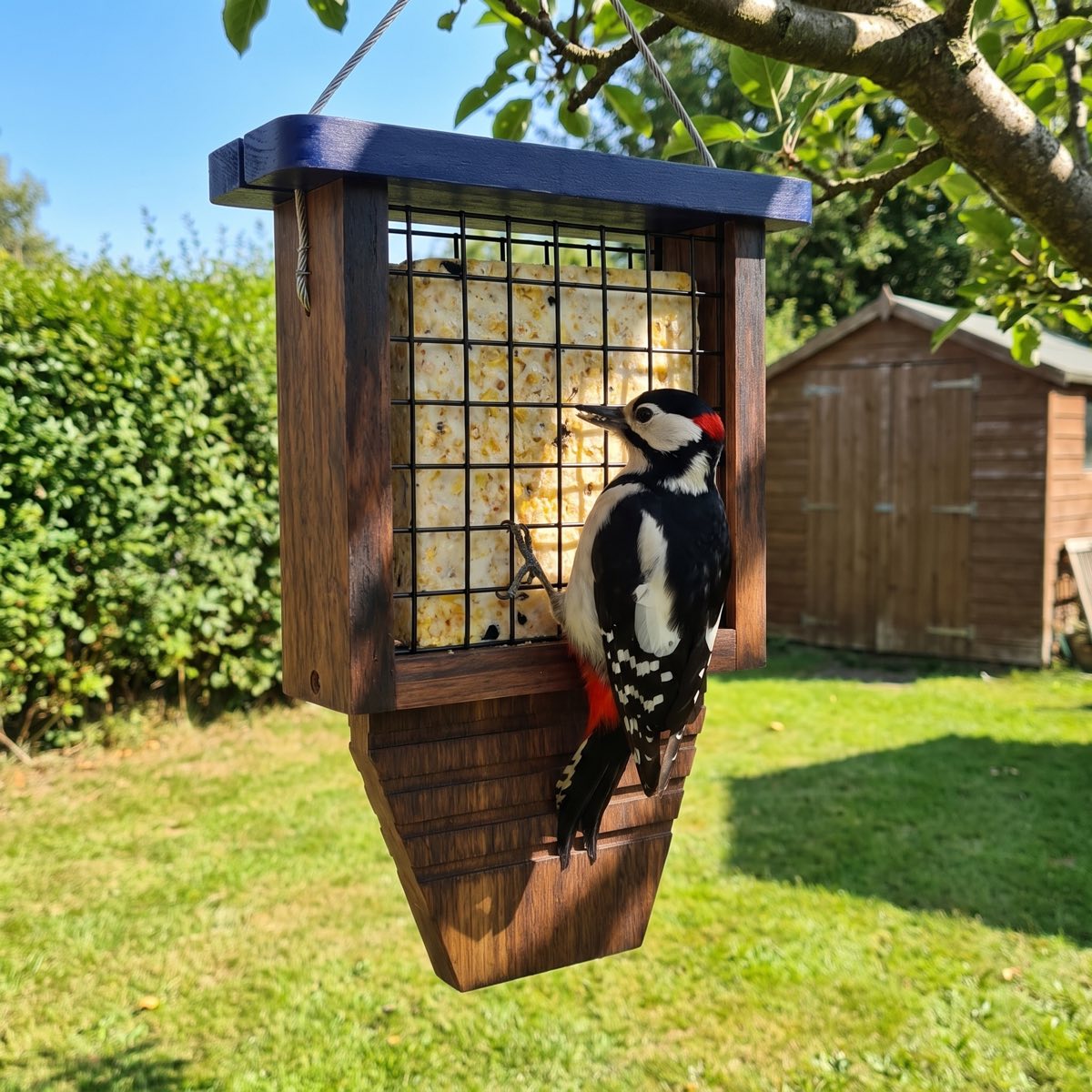 Great spotted woodpecker leaning on the tail rest