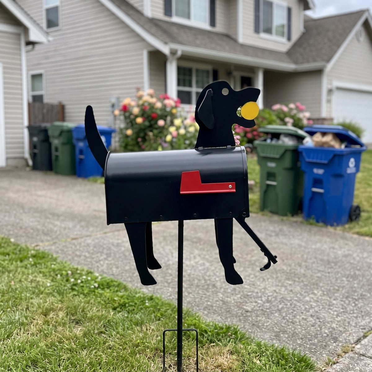 Customer dog mailbox at a driveway