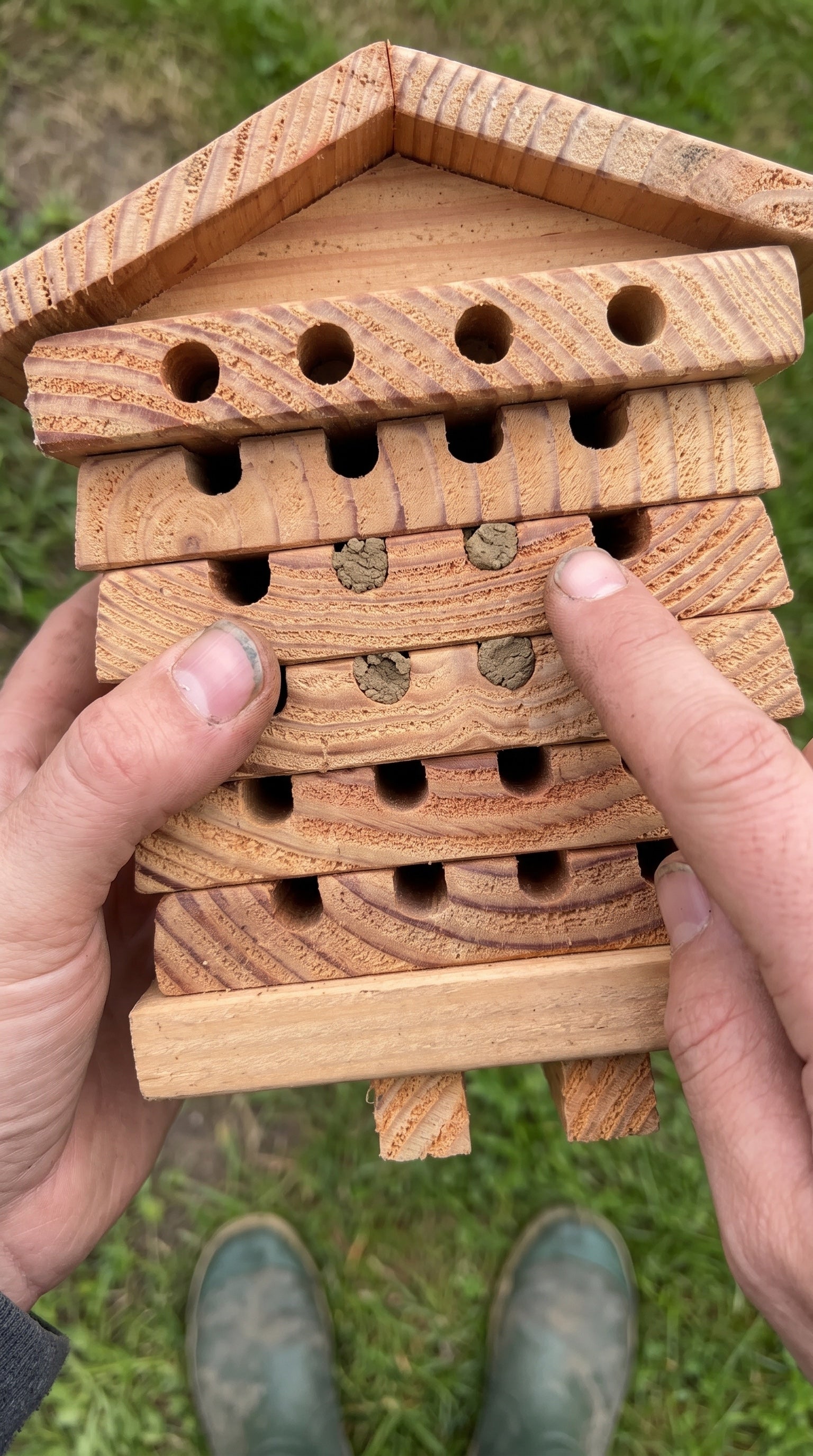 BeeTreasure UGC vertical 03 - hand pointing at mud-sealed bee tunnels