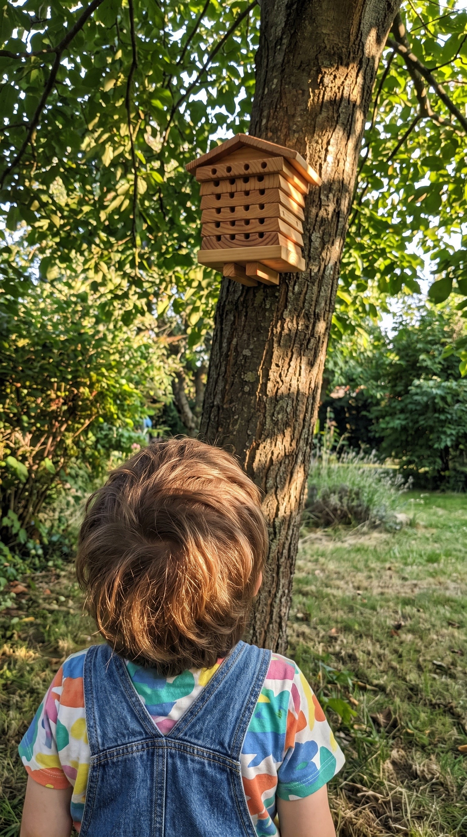 BeeTreasure UGC vertical 09 - child looking up at tree-mounted bee hotel