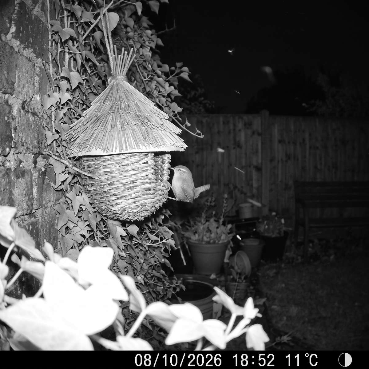 Bronwen's Woven Bird House
