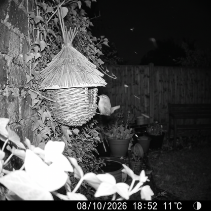 Bronwen's Woven Bird House