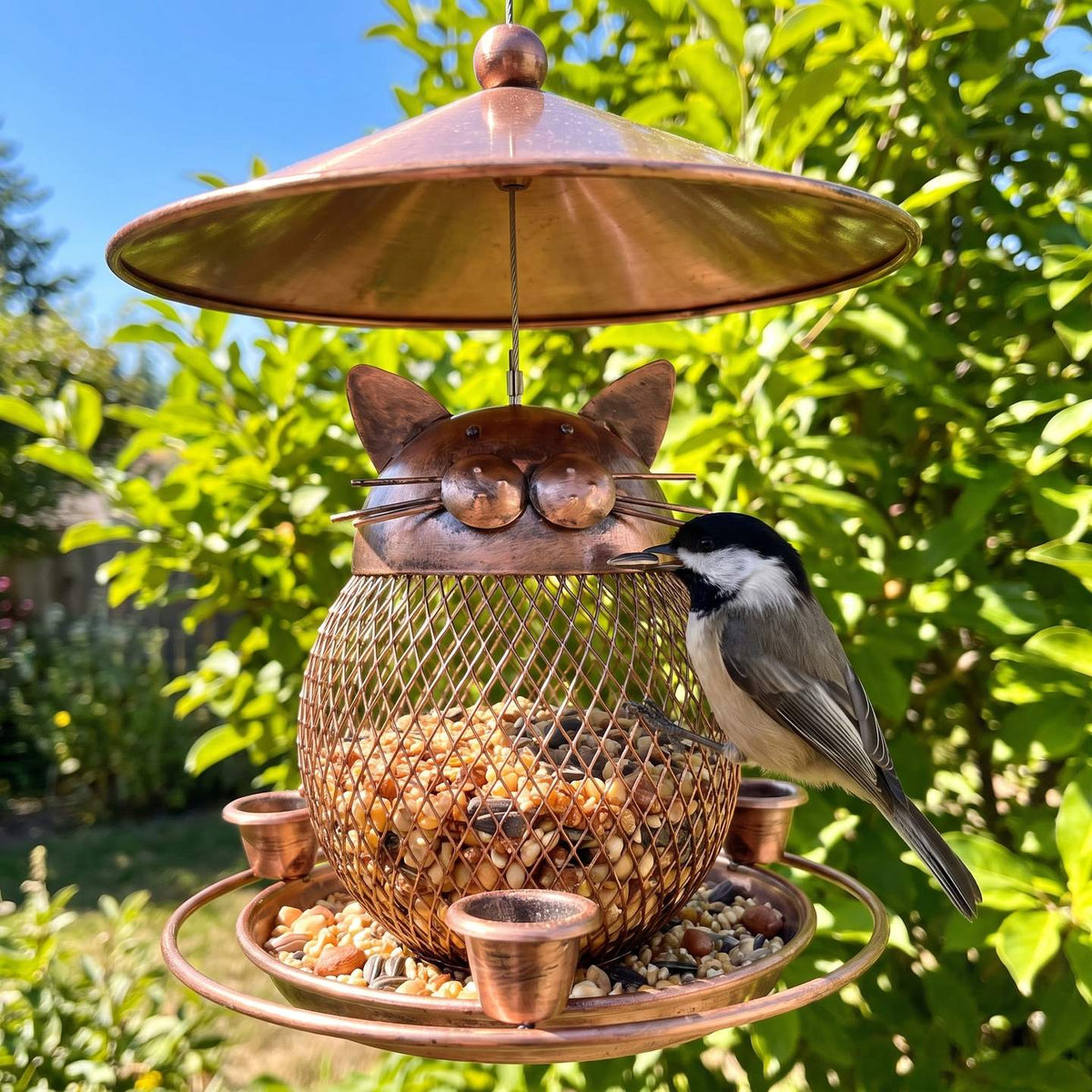 Close-up of the cat head and mesh seed basket with a chickadee