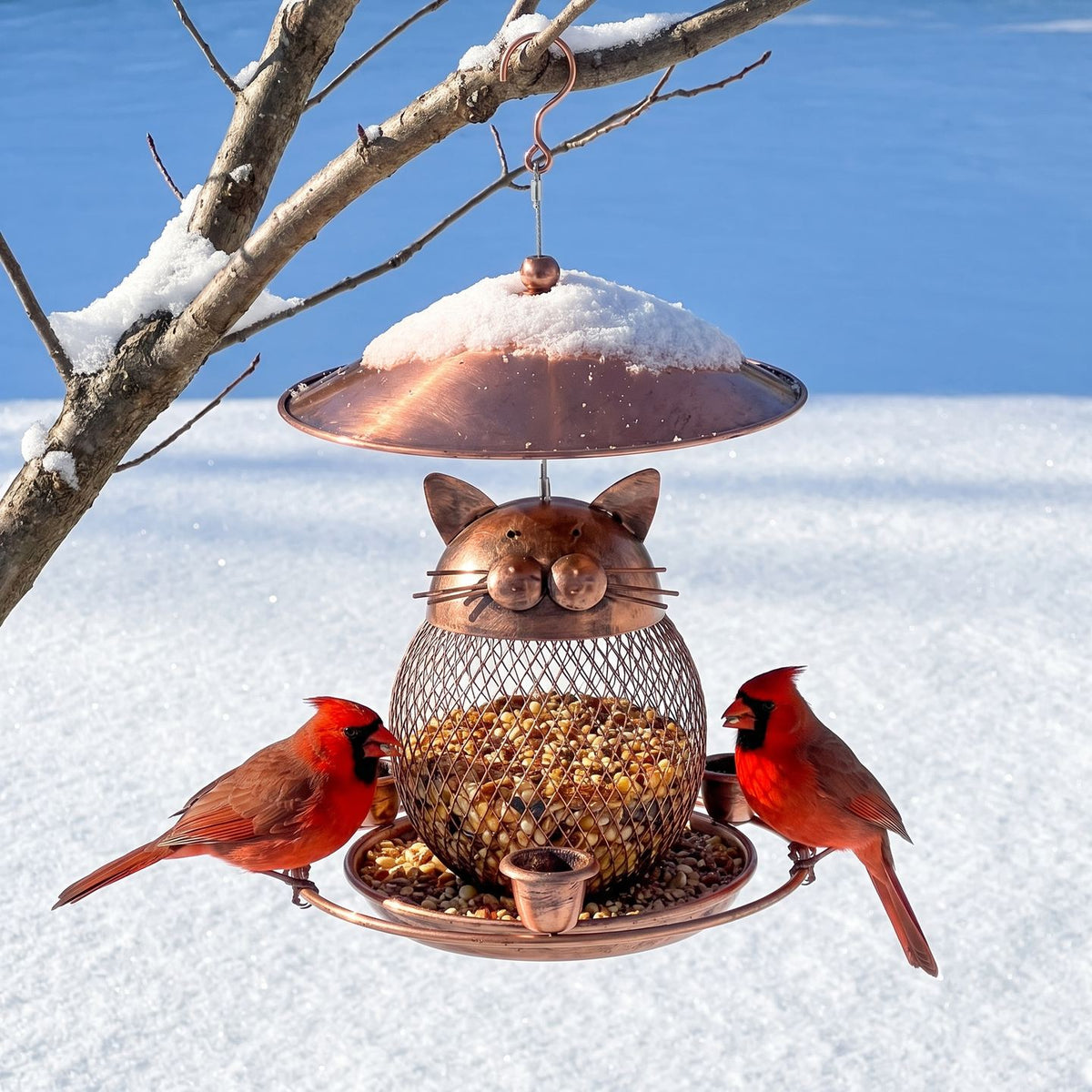 Cat-faced bird feeder with snow on the roof and two cardinals