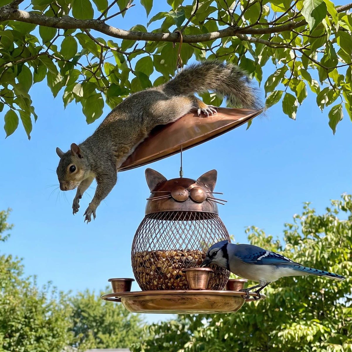 Squirrel sliding off the tipping roof of the cat-faced bird feeder