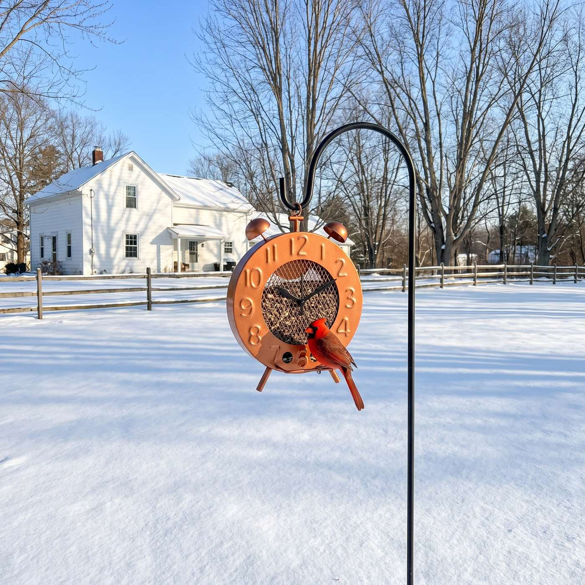 Copper clock bird feeder on a shepherd's hook in a snowy backyard with a cardinal