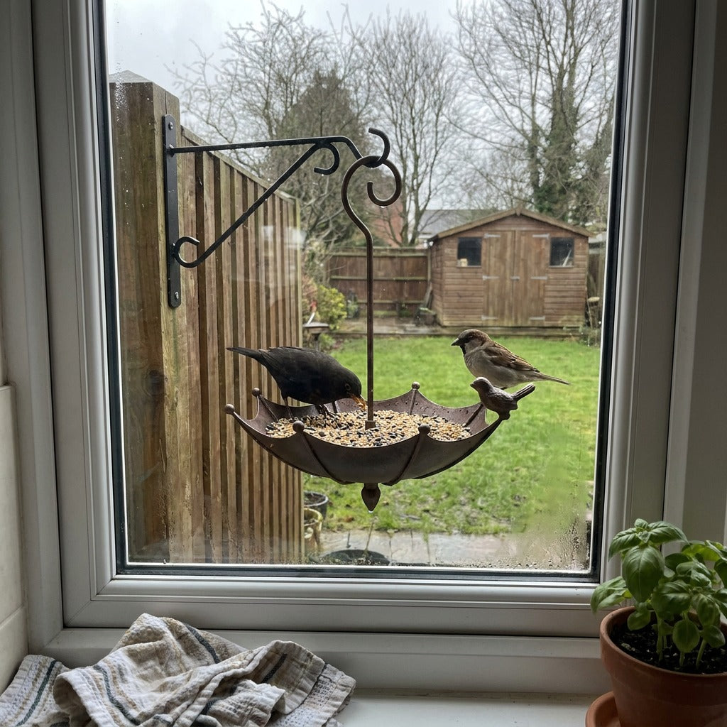 dudley bird feeder ugc 5