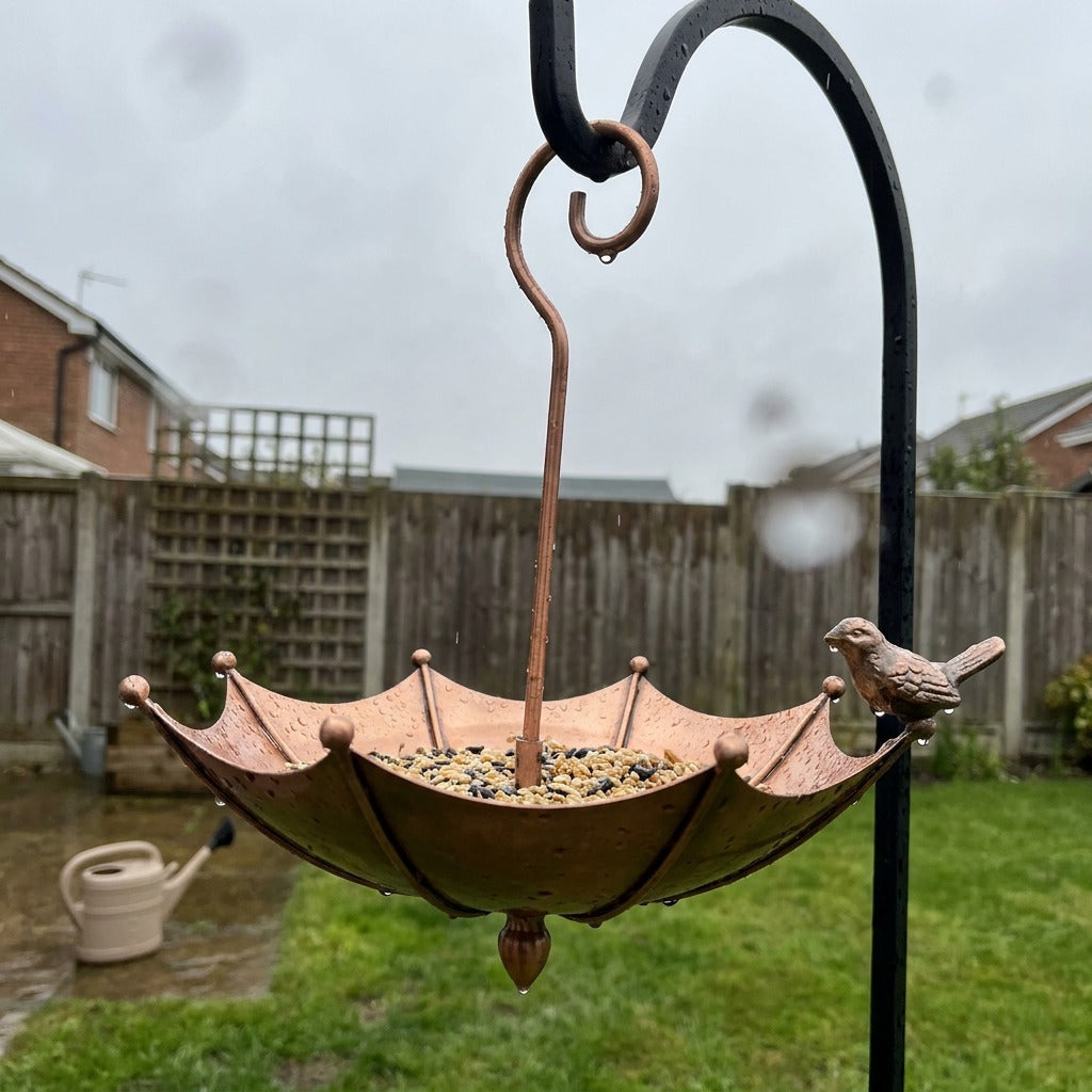 dudley bird feeder ugc 6