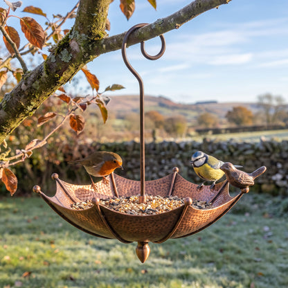 Dudley's Handcrafted Bird Feeder with a robin and a blue tit on the seed