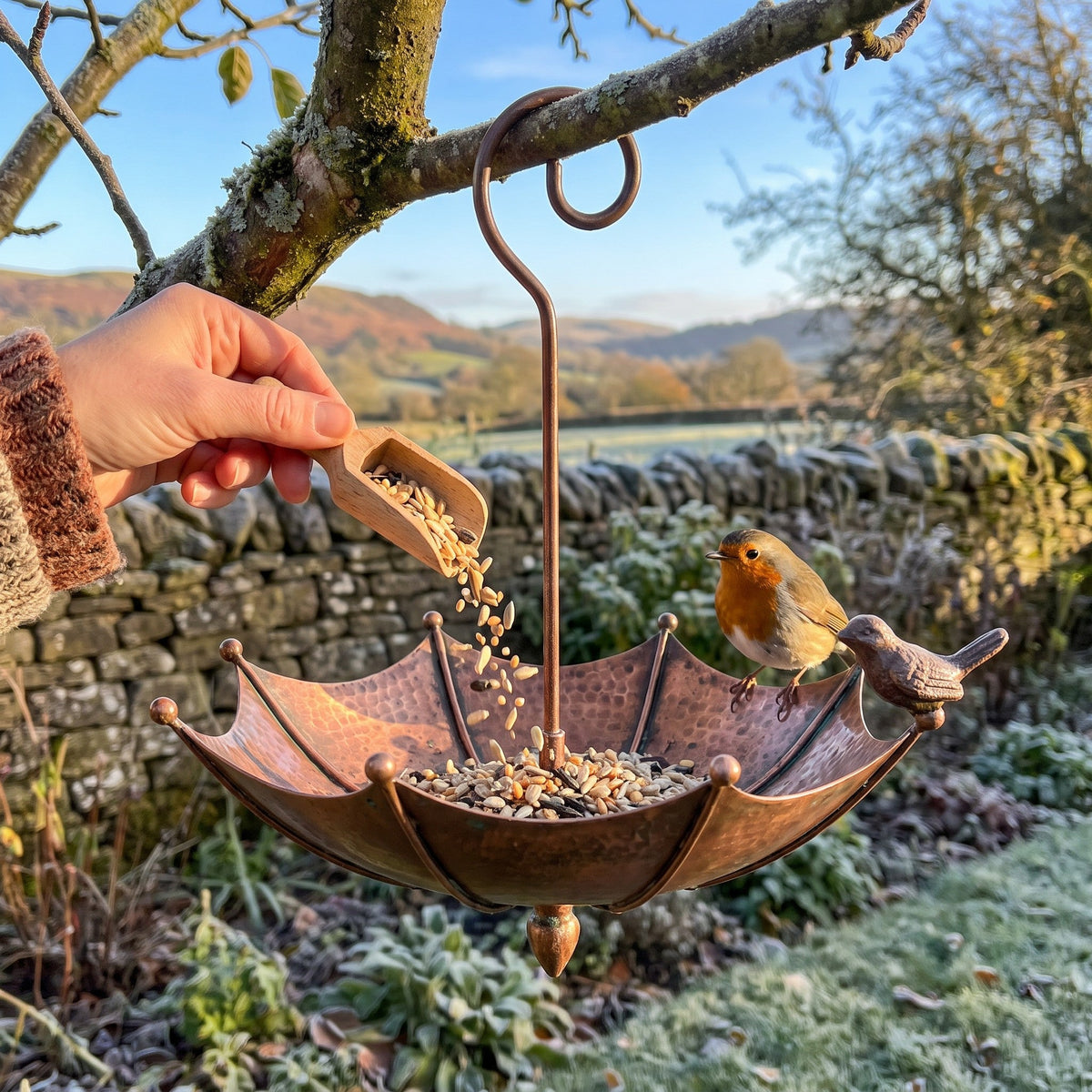 Filling the feeder with seed while a robin waits on the rim