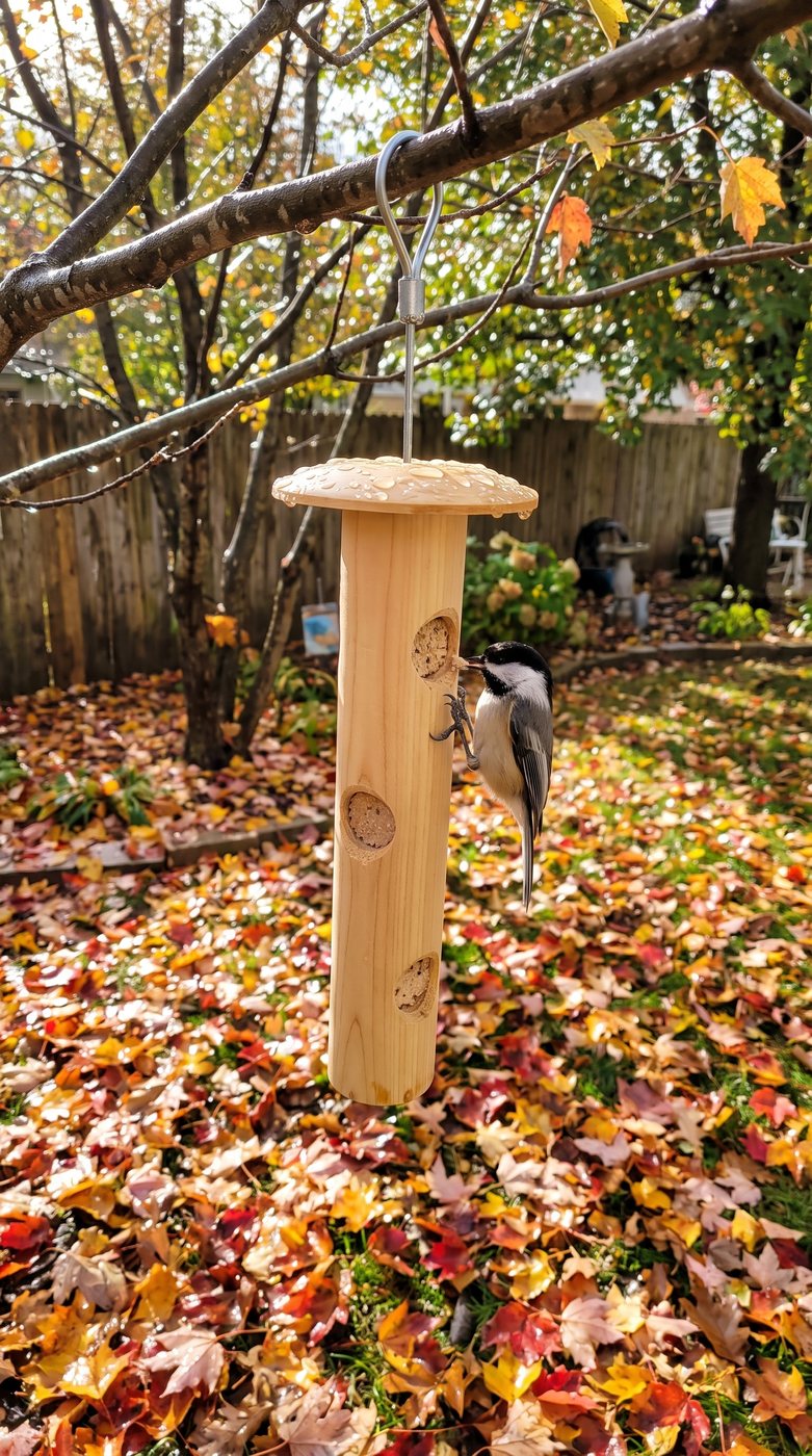 Customer photo: cedar log after the rain