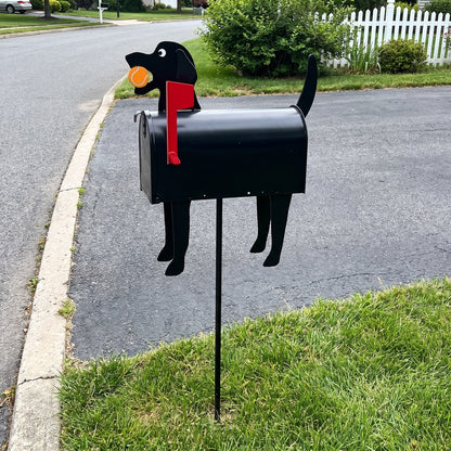 Black Labrador mailbox with tennis ball on a ground stake