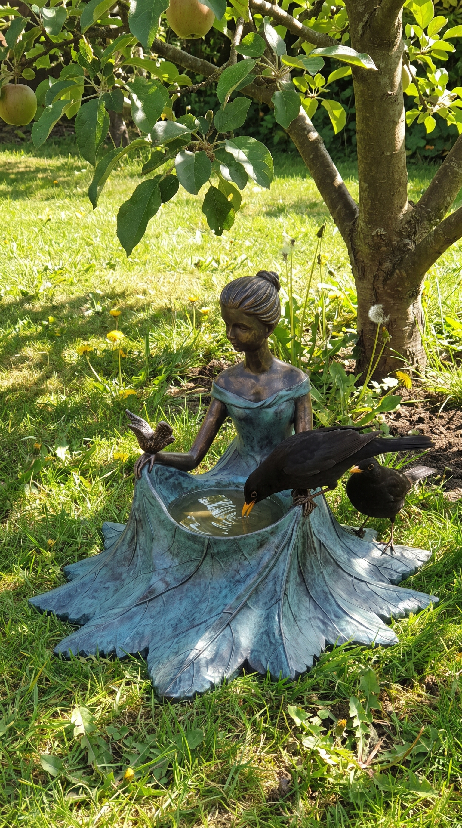 Customer photo 1 of Geoff's bronze bird bath