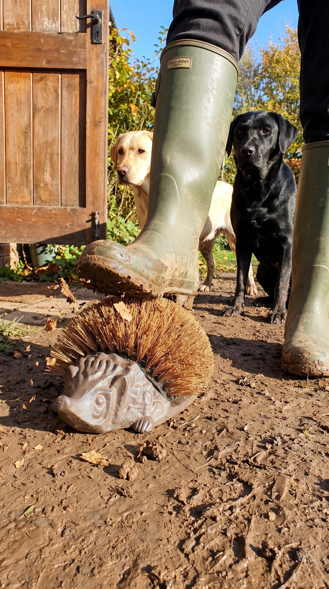 Joan's cast-iron hedgehog boot brush