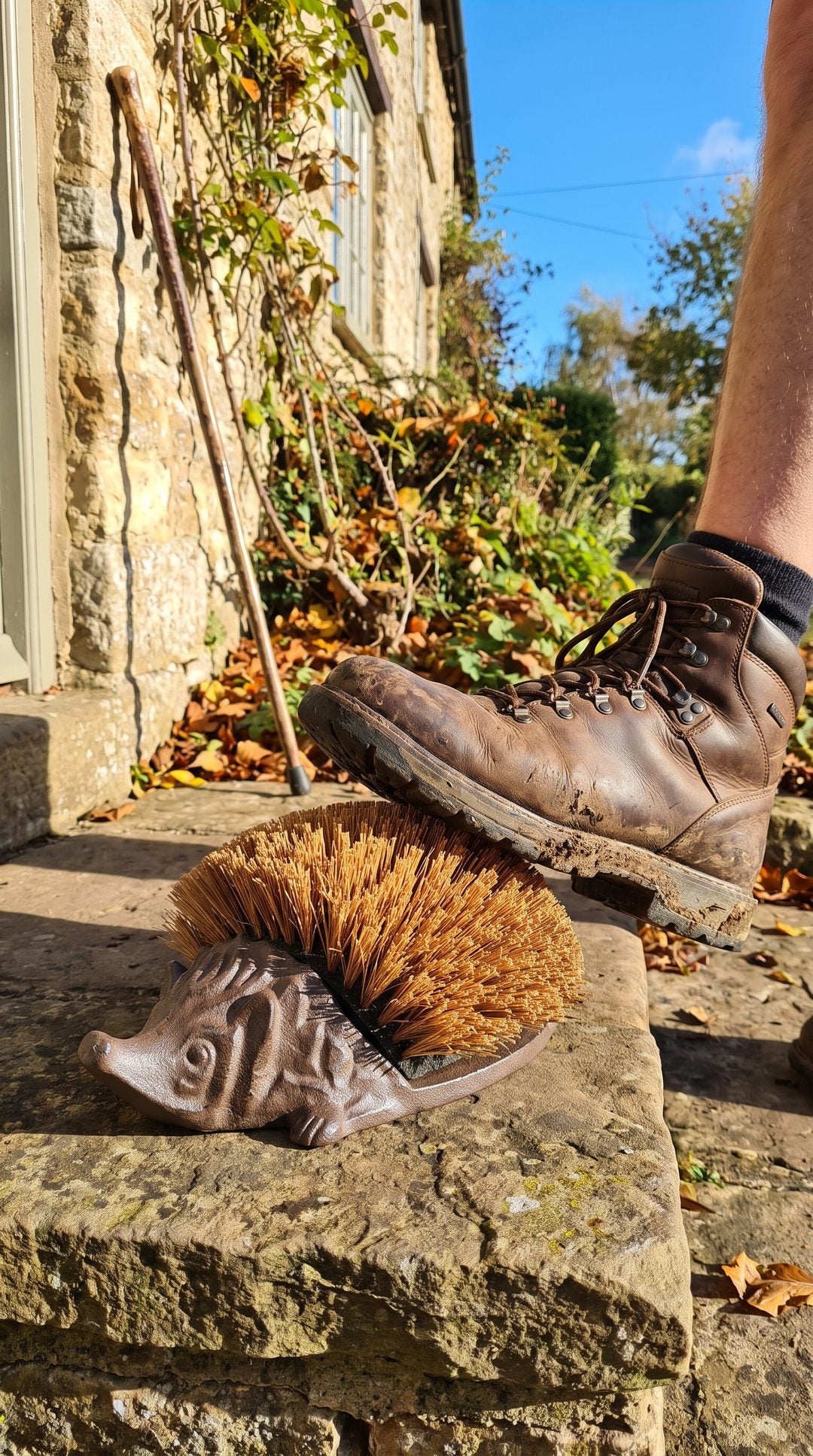 Joan's cast-iron hedgehog boot brush