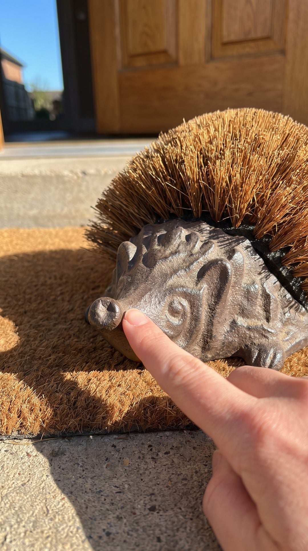Joan's cast-iron hedgehog boot brush