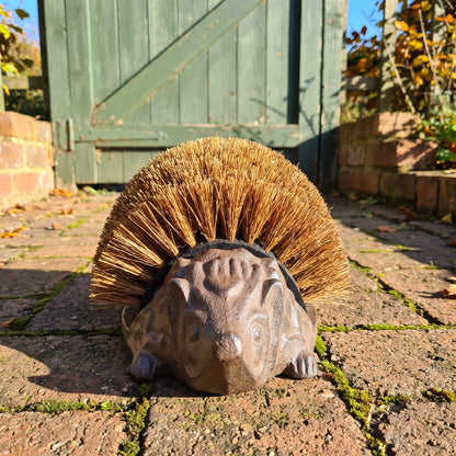 Joan's cast-iron hedgehog boot brush