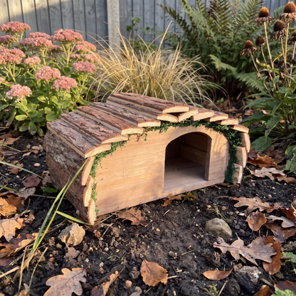 Ted's Hedgehog House