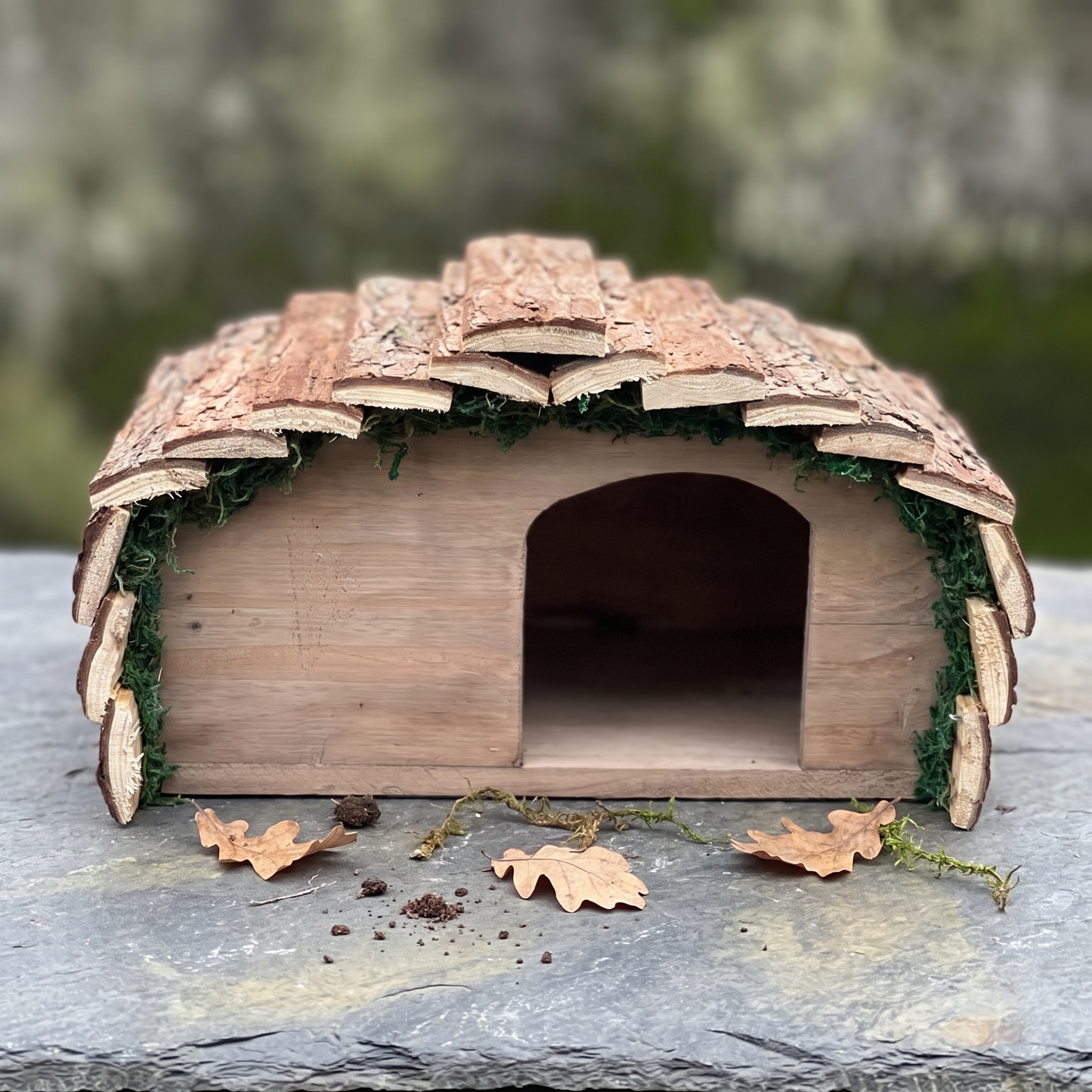 Ted's Hedgehog House