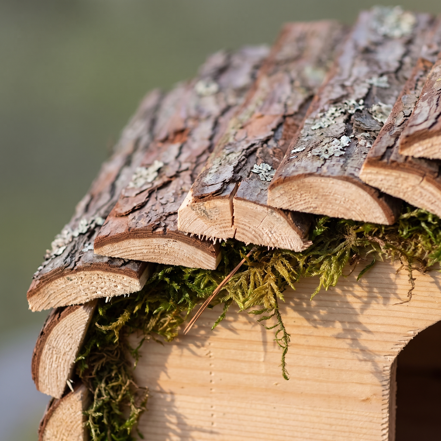 Ted's Hedgehog House