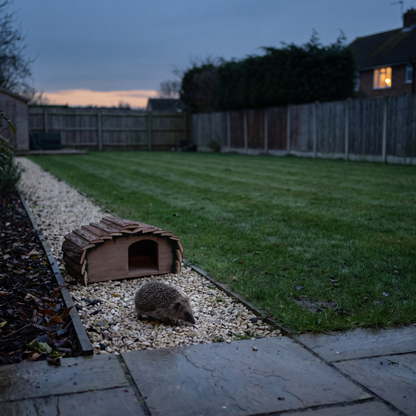Ted's Hedgehog House