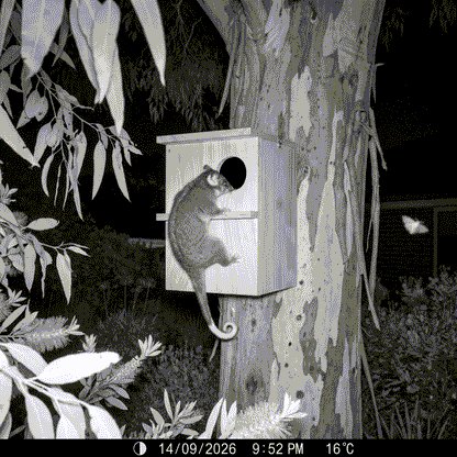 Keith's Possum House
