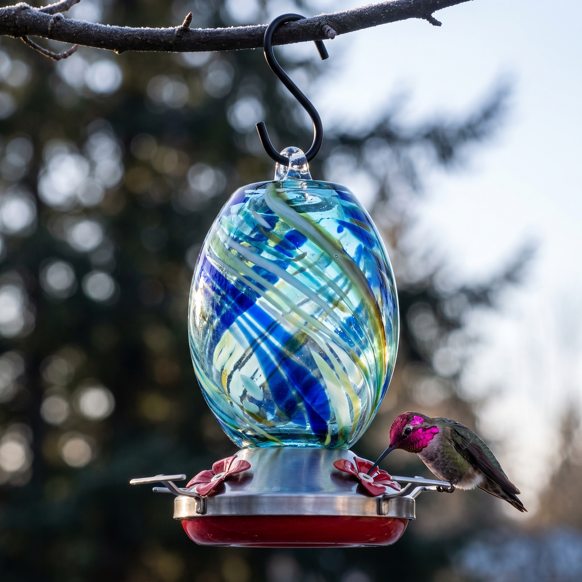 Roy's Hand-Blown Hummingbird Feeder