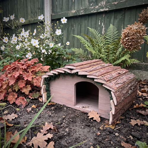 Ted's Hedgehog House