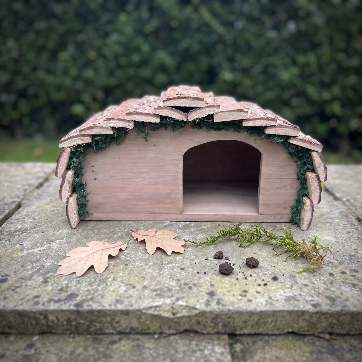 Ted's Hedgehog House