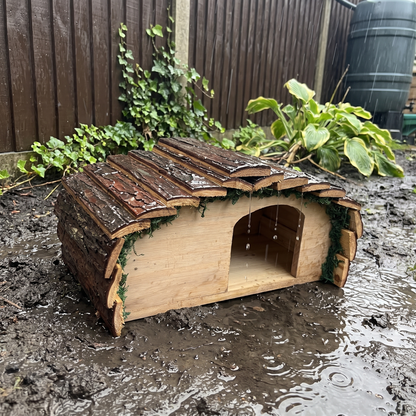 Ted's Hedgehog House