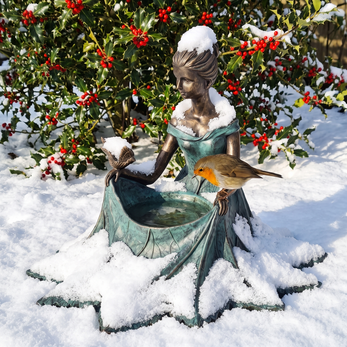The bird bath in fresh snow with a robin drinking, holly behind