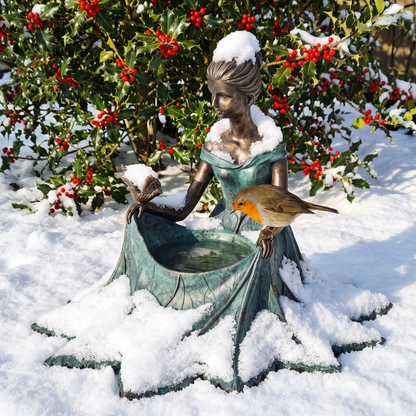 The bird bath in fresh snow with a robin drinking, holly behind