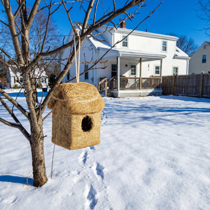 Roosting hut hanging in a small tree in a snowy backyard