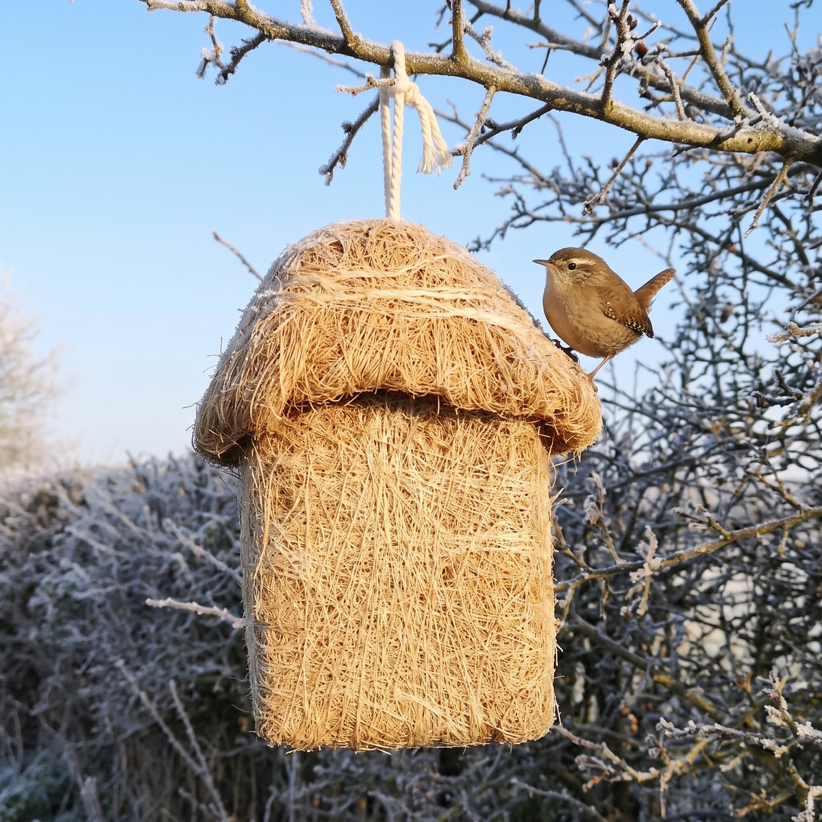 Side view of the roosting hut with a wren on the roof