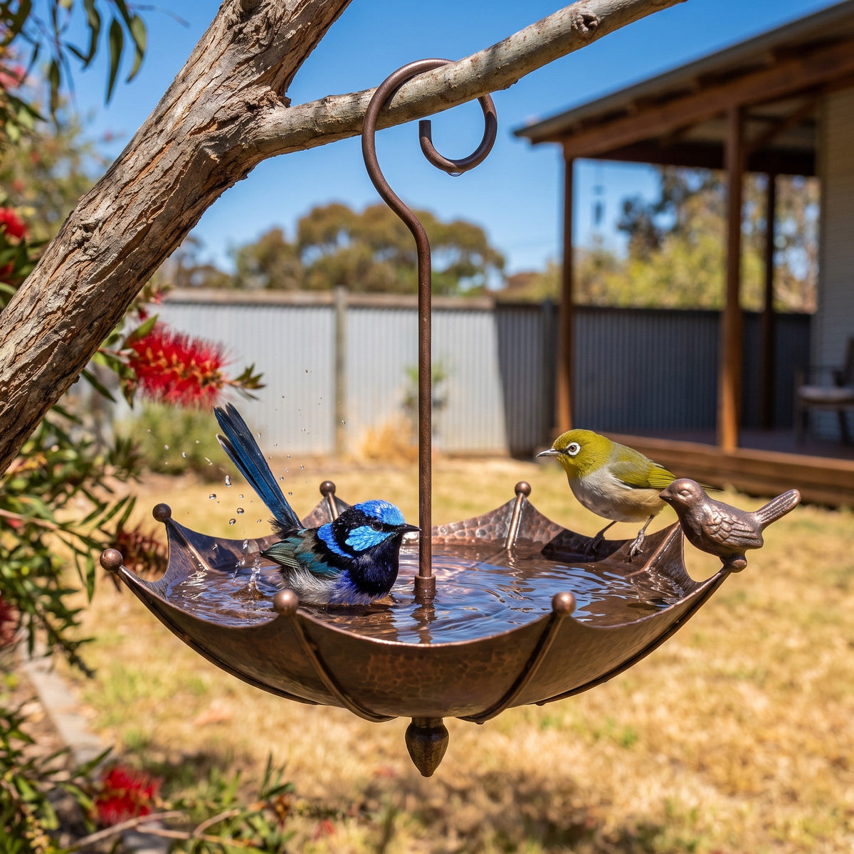 Kelvin's Handcrafted Bird Bath with a superb fairy-wren bathing