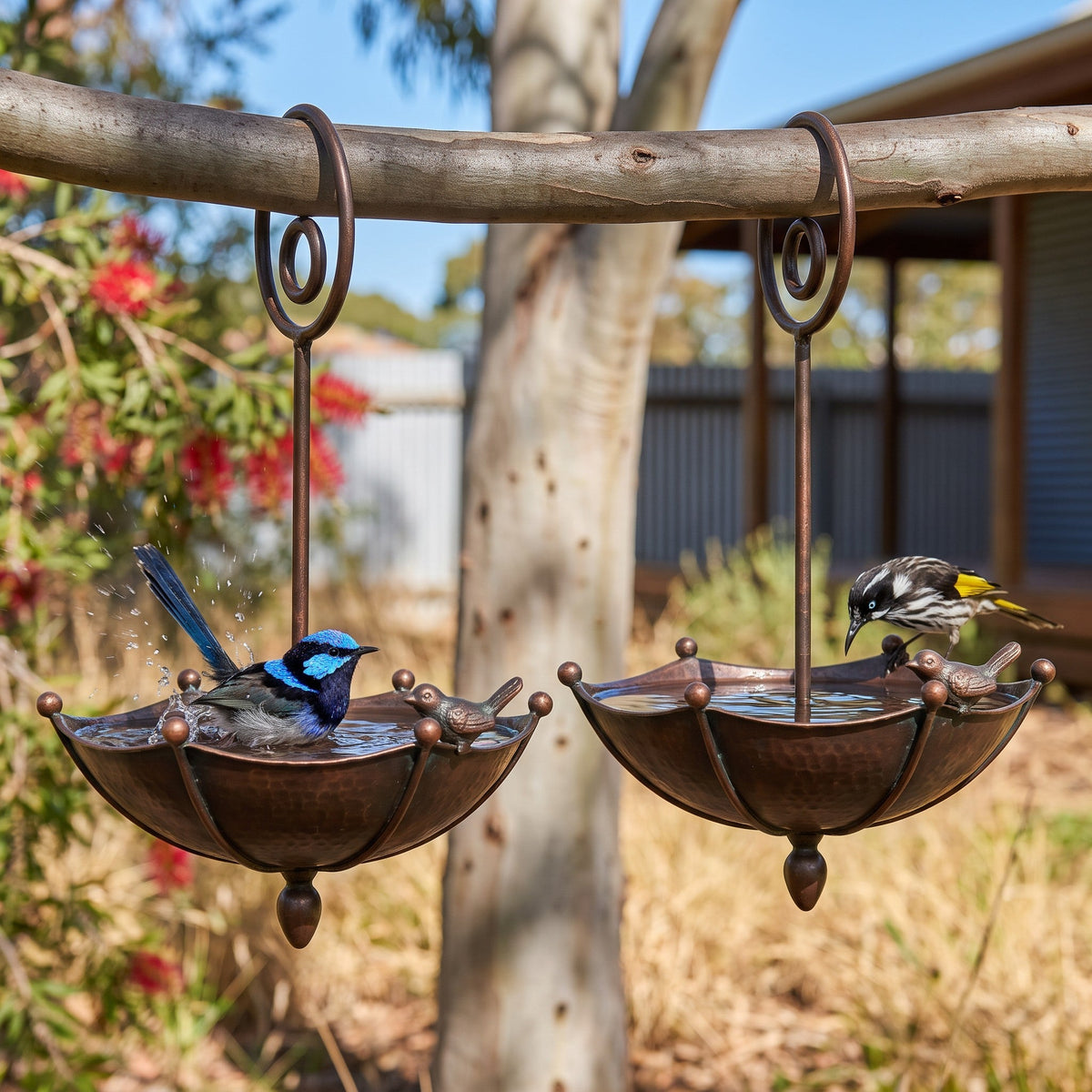 Two baths hung side by side in the shade of a gum