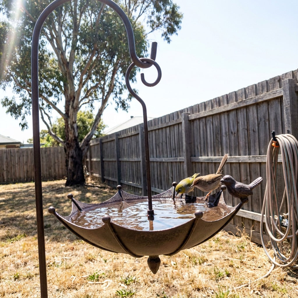 kelvin bird bath ugc 6