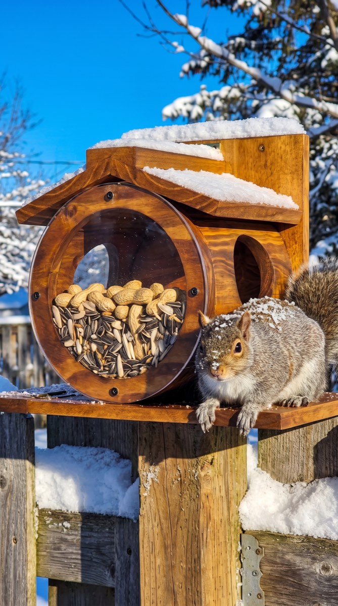 Otis squirrel barrel f2-snow-fence