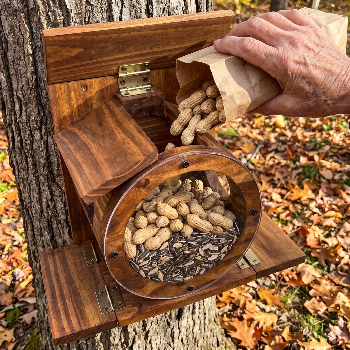Lift lid open, refilling the barrel with peanuts
