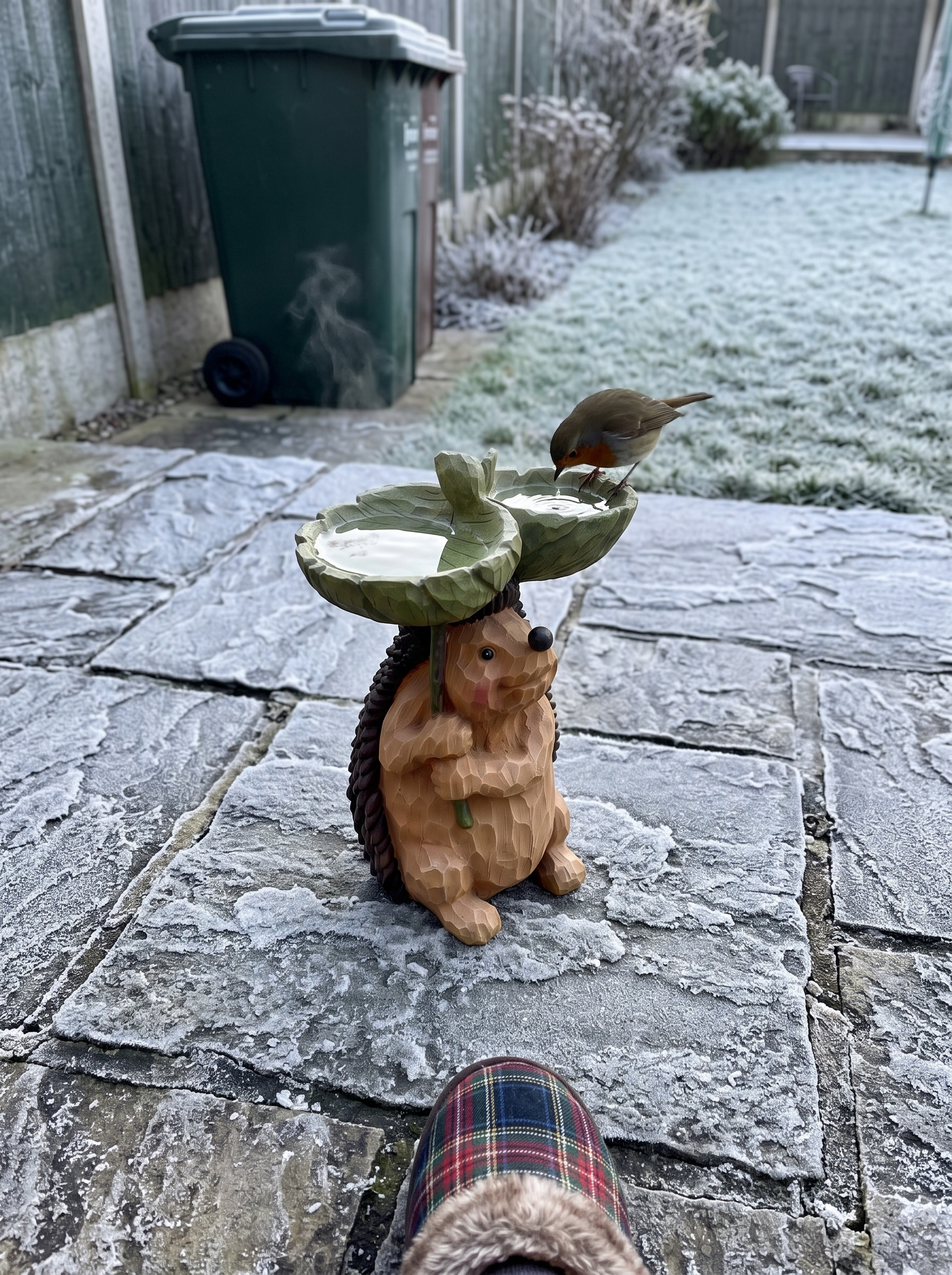 Hedgehog bird bath on a frosty patio with a robin
