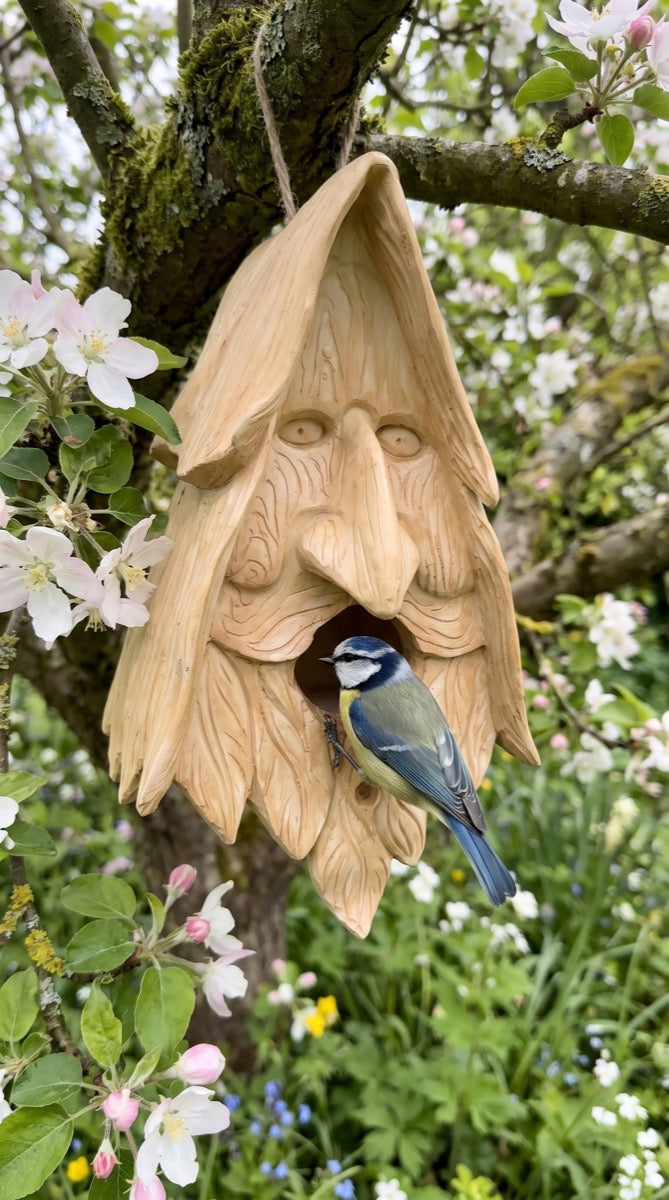 Wood-spirit birdhouse on an apple tree with a blue tit
