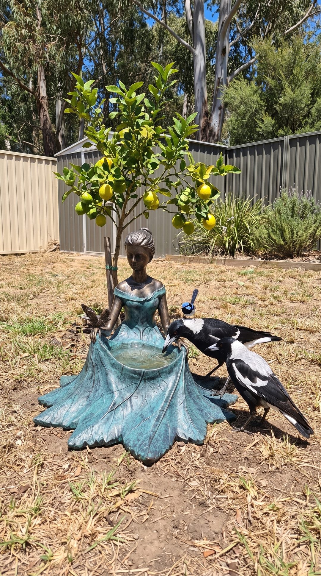 f1-lemontree
